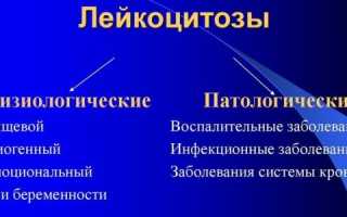 Повышенные лейкоциты в крови у женщин