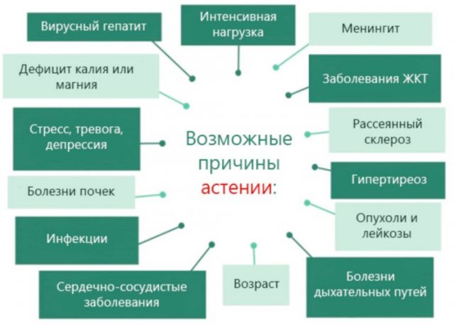 Причины астении